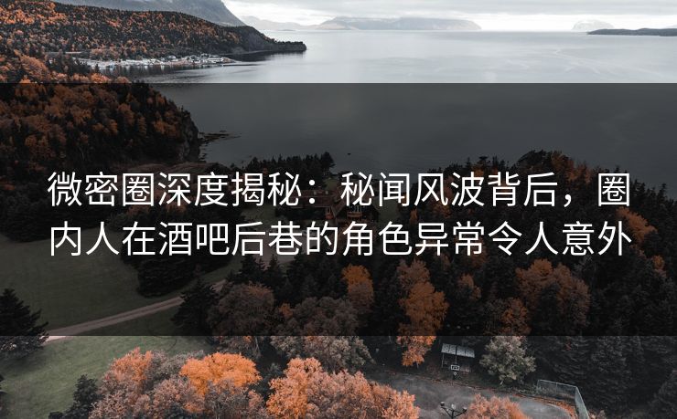 微密圈深度揭秘：秘闻风波背后，圈内人在酒吧后巷的角色异常令人意外