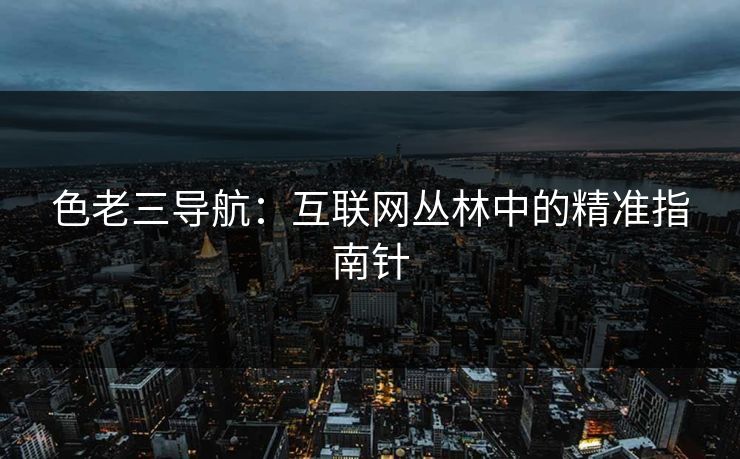 色老三导航：互联网丛林中的精准指南针