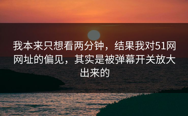 我本来只想看两分钟，结果我对51网网址的偏见，其实是被弹幕开关放大出来的  第1张