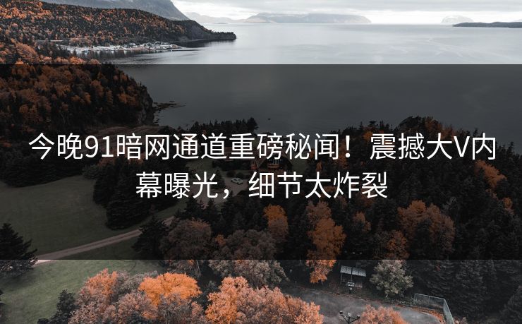 今晚91暗网通道重磅秘闻！震撼大V内幕曝光，细节太炸裂